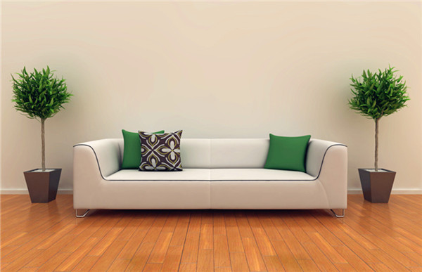 室內(nèi)花卉養(yǎng)護技巧 室內(nèi)花卉養(yǎng)護技巧